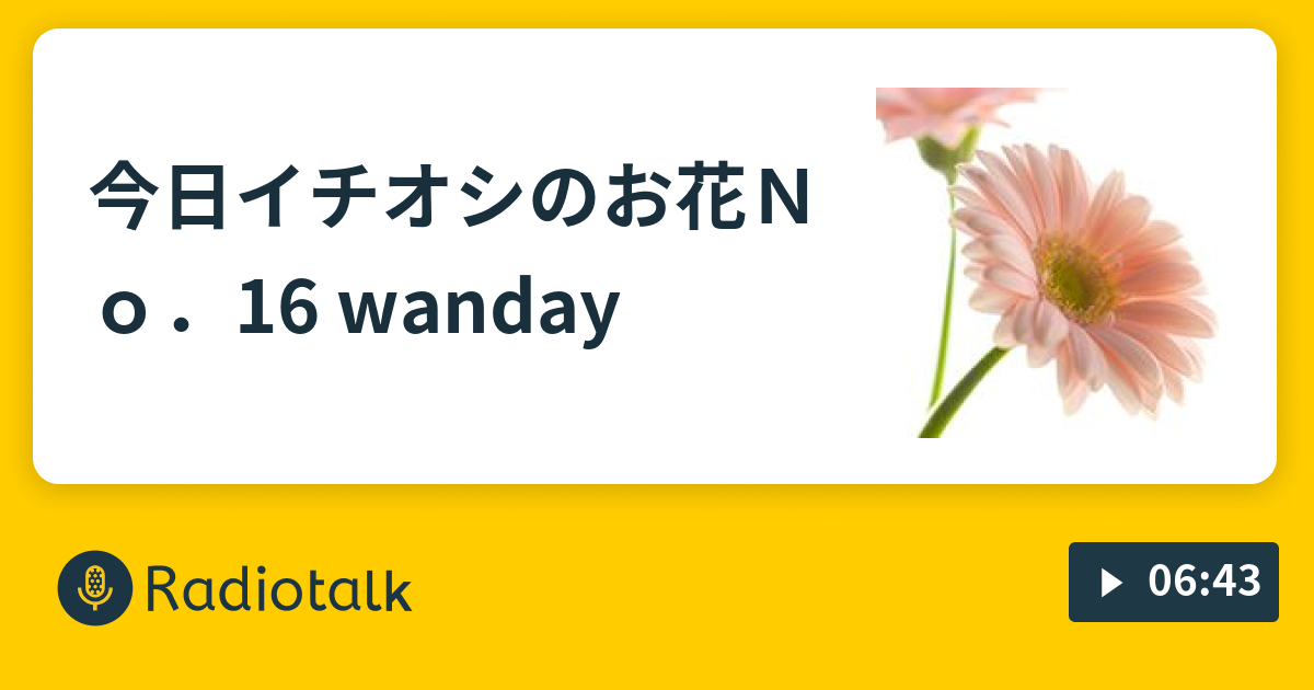 今日イチオシのお花🌼No．16 wanday🌙☆ - ぶらいとあんどぶらいと🌙☆☆ - Radiotalk(ラジオトーク)