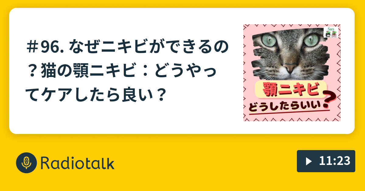 96. なぜニキビができるの？猫の顎ニキビ：どうやってケアしたら良い 