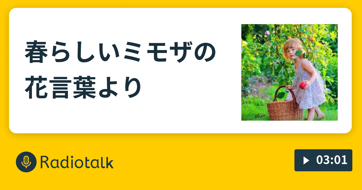 春らしいミモザの花言葉より 三毛猫ロック Radiotalk ラジオトーク