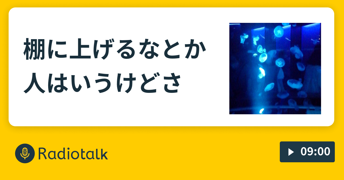 棚に上げるなとか人はいうけどさ インターネットの海 Radiotalk(ラジオトーク)